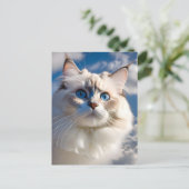 Carte postale Chat Ragdoll (Debout devant)