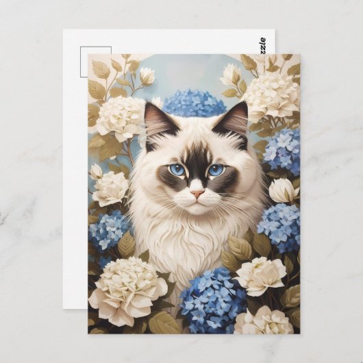 Carte Postale Chat Ragdoll Avec Fleurs Bleues D'Hydrangée (Devant / Derrière)