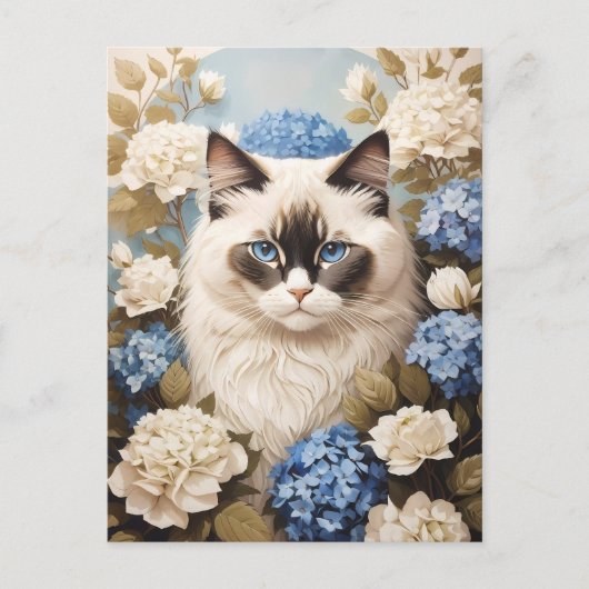 Carte Postale Chat Ragdoll Avec Fleurs Bleues D'Hydrangée (Devant)