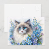 Carte Postale Chat Ragdoll avec myosotis (Devant / Derrière)
