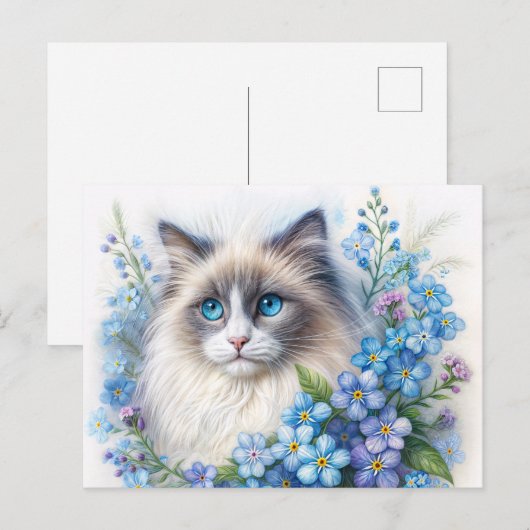 Carte Postale Chat Ragdoll avec myosotis (Devant / Derrière)