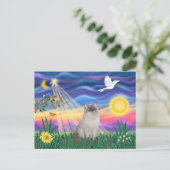 Carte Postale Chat Ragdoll (Blue Point) (Debout devant)