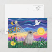 Carte Postale Chat Ragdoll (Blue Point) (Devant / Derrière)