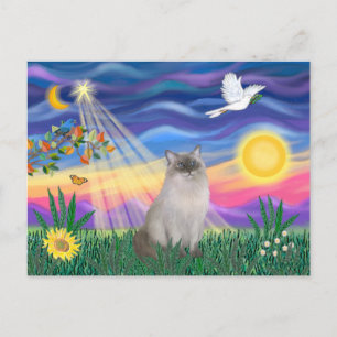 Carte Postale Chat Ragdoll (Blue Point)