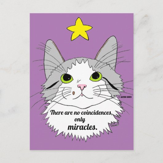 Carte Postale Chat Ragdoll Inspirant Seulement des Miracles (Devant)