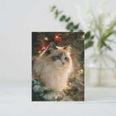Carte Postale Chat Ragdoll Noël (Debout devant)