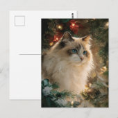 Carte Postale Chat Ragdoll Noël (Devant / Derrière)