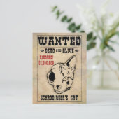 Carte Postale Chat Recherché II de Schrodinger (Debout devant)