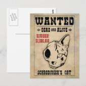 Carte Postale Chat Recherché II de Schrodinger (Devant / Derrière)