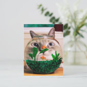 Carte Postale Chat regardant le poisson dans l'aquarium (Debout devant)