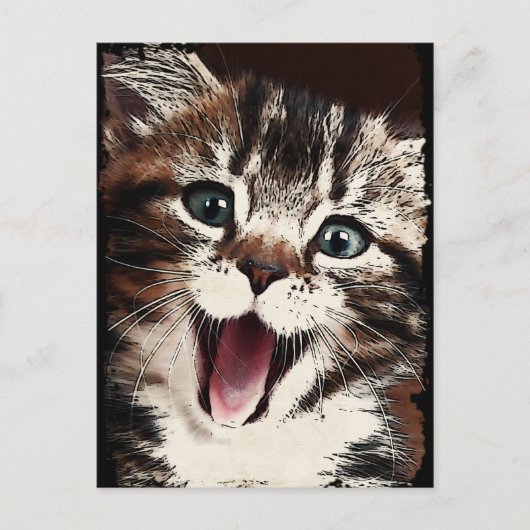 Carte Postale Chat riant (Devant)