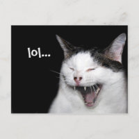 Chat riant