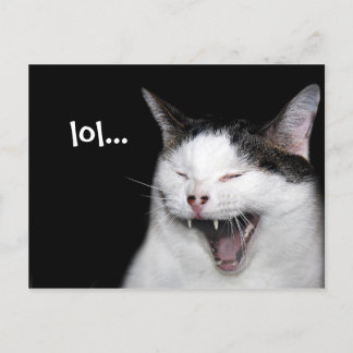 Carte Postale Chat riant