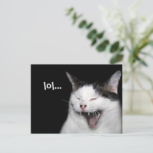 Carte Postale Chat riant (Debout devant)