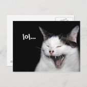 Carte Postale Chat riant (Devant / Derrière)