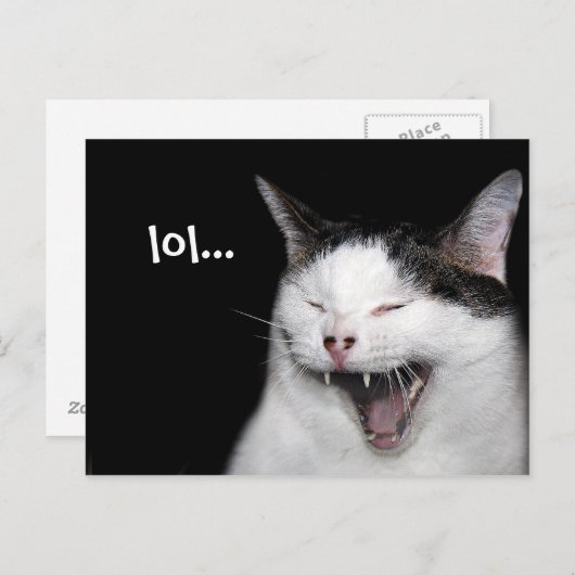 Carte Postale Chat riant (Devant / Derrière)