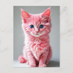 Carte Postale Chat rose
