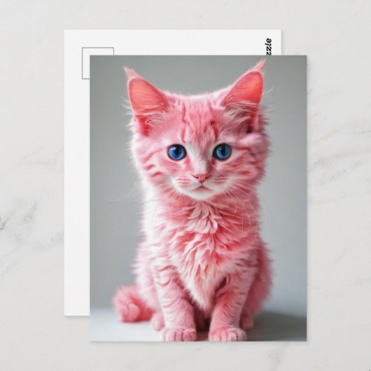 Carte Postale Chat rose (Devant / Derrière)