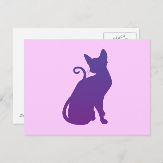 Carte Postale Chat rose et violet (Devant / Derrière)