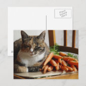 Carte Postale Chat 'Rouge' avec carottes (Devant / Derrière)