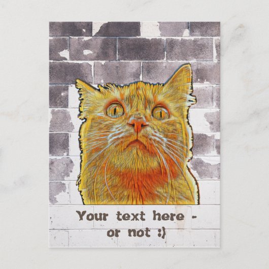 Carte Postale Chat rouge en difficulté. (Devant)
