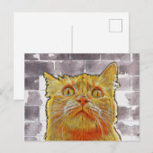 Carte Postale Chat rouge en difficulté. (Devant / Derrière)