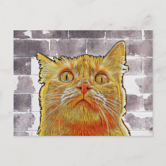 Carte Postale Chat rouge en difficulté. (Devant)