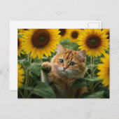 Carte postale Chat roux mignon dans les tournesols (Devant / Derrière)