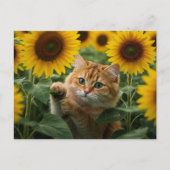 Carte postale Chat roux mignon dans les tournesols (Devant)