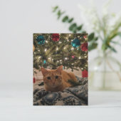 Carte Postale Chat roux sous l'arbre de Noël (Debout devant)