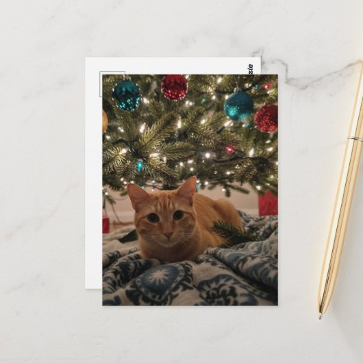 Carte Postale Chat roux sous l'arbre de Noël (Devant/Arrière en situation)