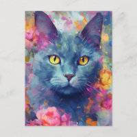 Chat russe bleu coloré