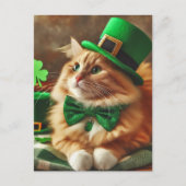 Carte Postale Chat Saint-Patricks (Devant)