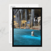 Carte Postale Chat Sainte-Sophie (Devant / Derrière)