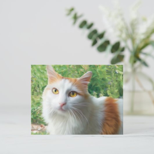 Carte Postale Chat - Samson le long Haired White et le chat Tan (Debout devant)