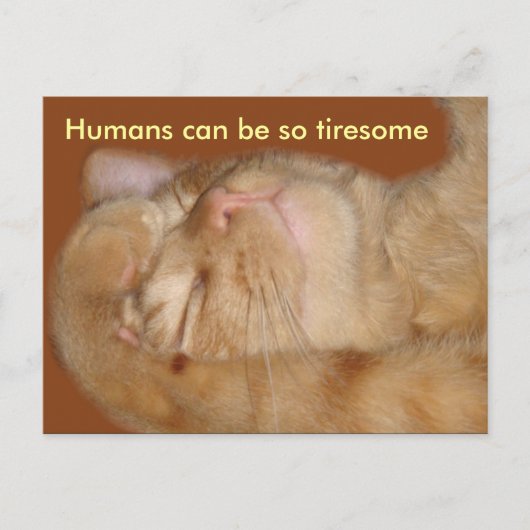 Carte Postale Chat Sarcastique - Les Humains Peuvent Être Si Tri (Devant)