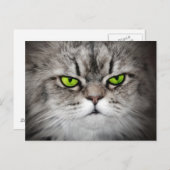 Carte Postale Chat sérieux avec les yeux verts (Devant / Derrière)