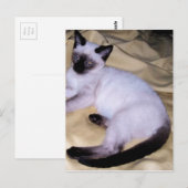Carte Postale Chat Siamese grès grès animal art animal animal an (Devant / Derrière)
