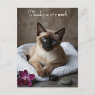 Carte Postale Chat siamois au spa Merci 