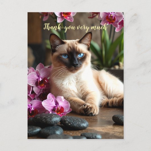 Carte Postale Chat siamois au spa merci beaucoup (Devant)