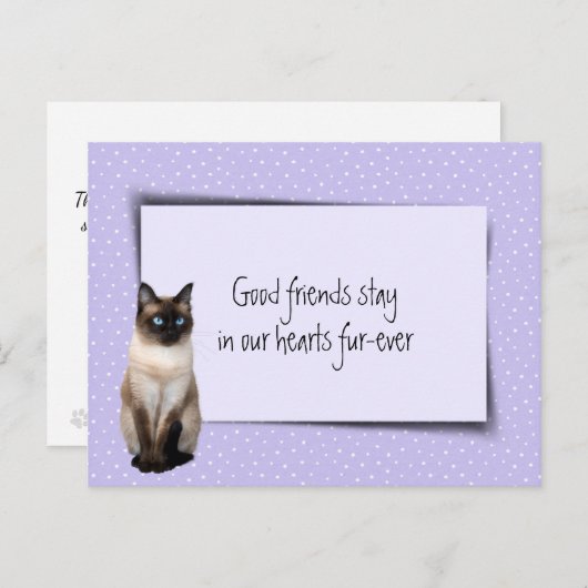 Carte Postale Chat siamois perte de compagnie de la part du vété (Devant / Derrière)