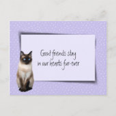 Carte Postale Chat siamois perte de compagnie de vétérinaire (Devant)