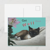 Carte postale Chat siamois pour un prompt rétablis (Devant / Derrière)