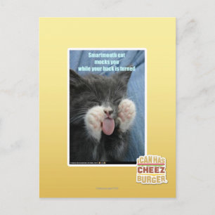 Carte Postale Chat Smartmouth