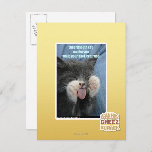 Carte Postale Chat Smartmouth (Devant / Derrière)