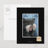 Carte Postale Chat Smartmouth (Devant / Derrière)