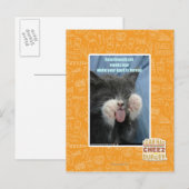 Carte Postale Chat Smartmouth (Devant / Derrière)