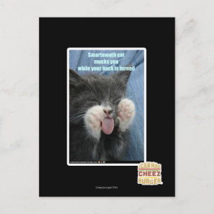 Carte Postale Chat Smartmouth