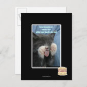 Carte Postale Chat Smartmouth (Devant / Derrière)