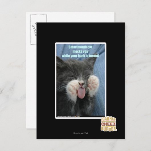 Carte Postale Chat Smartmouth (Devant / Derrière)